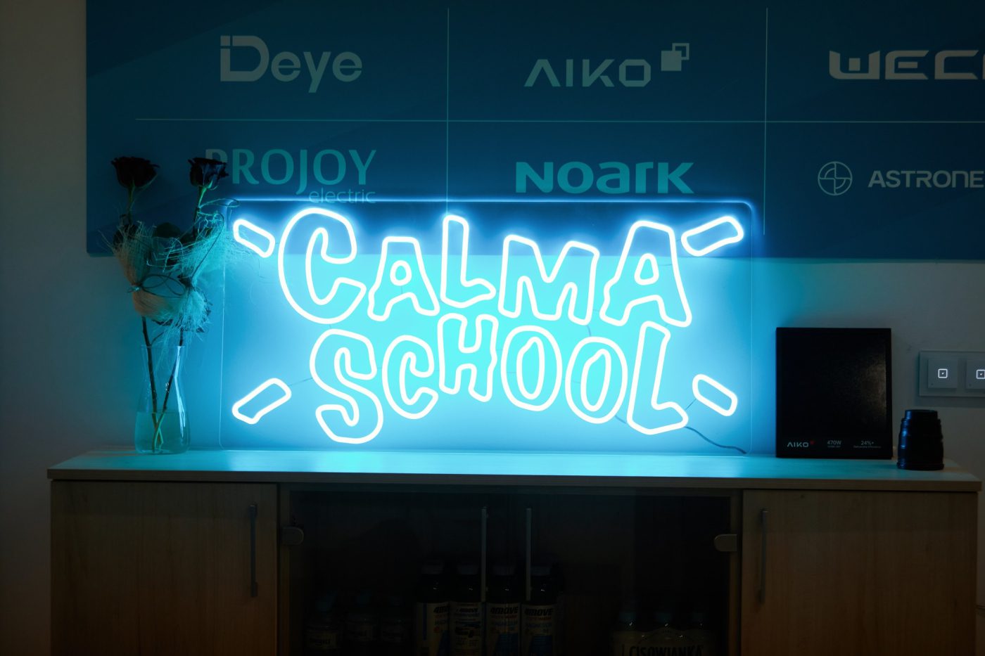 Calma School - profesjonalne szkolenia dla instalatorów PV