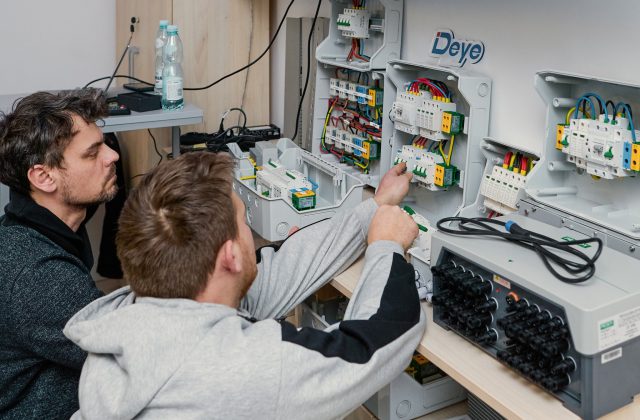 szkolenia Calma School